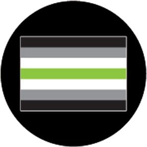 86789 Agender Pride Flag - Rosco Colour Glass Gobo