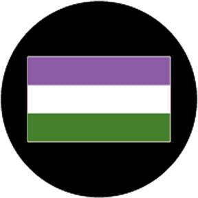 86790 Genderqueer Pride Flag - Rosco Colour Glass Gobo