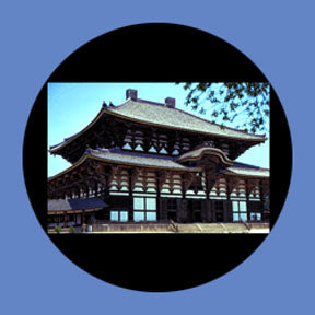 P899 Architectural 0899 - Rosco Plastic Gobo