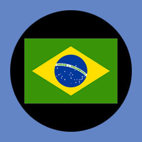 P3113 Brazil - Rosco Plastic Gobo