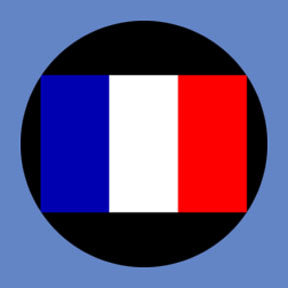 P3130 France - Rosco Plastic Gobo