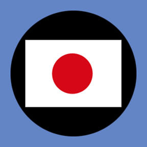P3148 Japan - Rosco Plastic Gobo