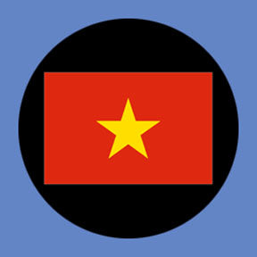P3190 Vietnam - Rosco Plastic Gobo