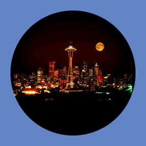 P4863 Skylines 4863 - Rosco Plastic Gobo