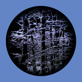 P6858 Trees & Foliage 6858 - Rosco Plastic Gobo