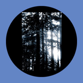 P6875 Trees & Foliage 6875 - Rosco Plastic Gobo
