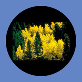 P6879 Trees & Foliage 6879 - Rosco Plastic Gobo