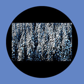 P6885 Trees & Foliage 6885 - Rosco Plastic Gobo