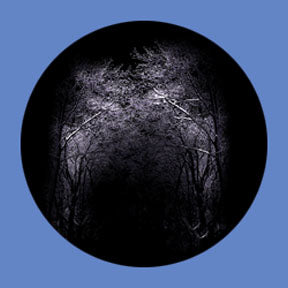 P6887 Trees & Foliage 6887 - Rosco Plastic Gobo