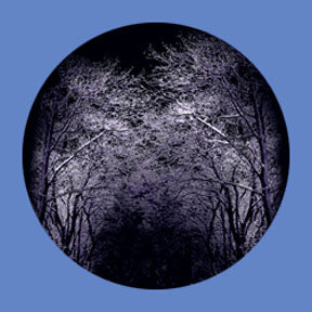 P6888 Trees & Foliage 6888 - Rosco Plastic Gobo