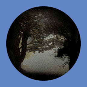 P6889 Trees & Foliage 6889 - Rosco Plastic Gobo