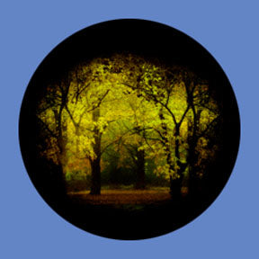 P6901 Trees & Foliage 6901 - Rosco Plastic Gobo