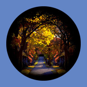 P6905 Trees & Foliage 6905 - Rosco Plastic Gobo
