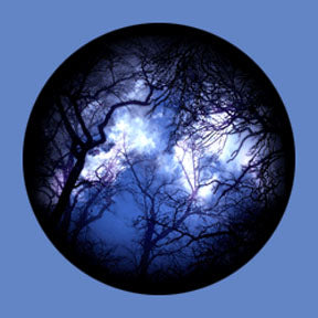 P6910 Trees & Foliage 6910 - Rosco Plastic Gobo