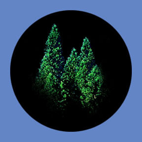 P6912 Trees & Foliage 6912 - Rosco Plastic Gobo