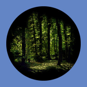 P6915 Trees & Foliage 6915 - Rosco Plastic Gobo