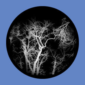 P6917 Trees & Foliage 6917 - Rosco Plastic Gobo