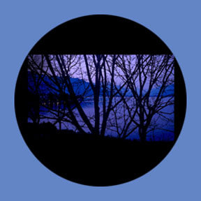 P6923 Trees & Foliage 6923 - Rosco Plastic Gobo