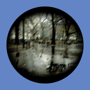 P6924 Trees & Foliage 6924 - Rosco Plastic Gobo