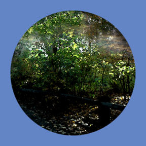 P6925 Trees & Foliage 6925 - Rosco Plastic Gobo