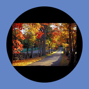 P6927 Trees & Foliage 6927 - Rosco Plastic Gobo