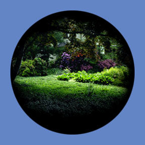 P7850 Vistas 7850 - Rosco Plastic Gobo