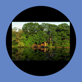 P7861 Vistas 7861 - Rosco Plastic Gobo