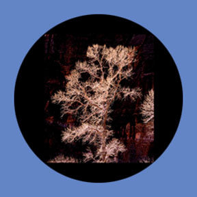 P7862 Vistas 7862 - Rosco Plastic Gobo