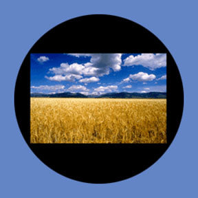 P7879 Vistas 7879 - Rosco Plastic Gobo
