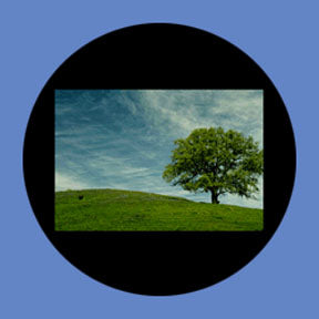 P7881 Vistas 7881 - Rosco Plastic Gobo