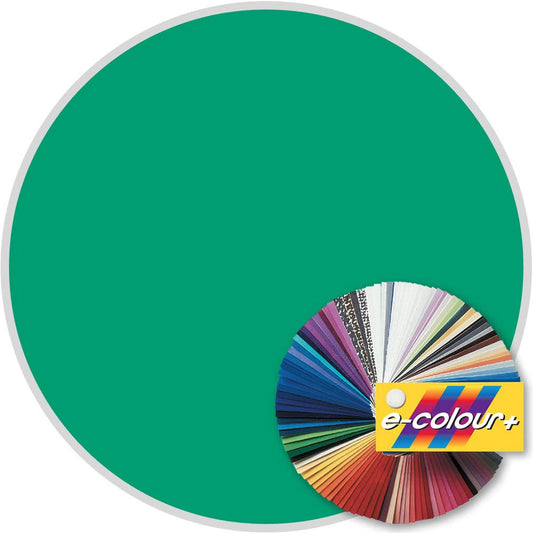 E5454 Rosco E Colour - Olympia Green