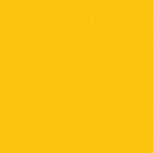 E643 Rosco E Colour - 1/4  Mustard Yellow