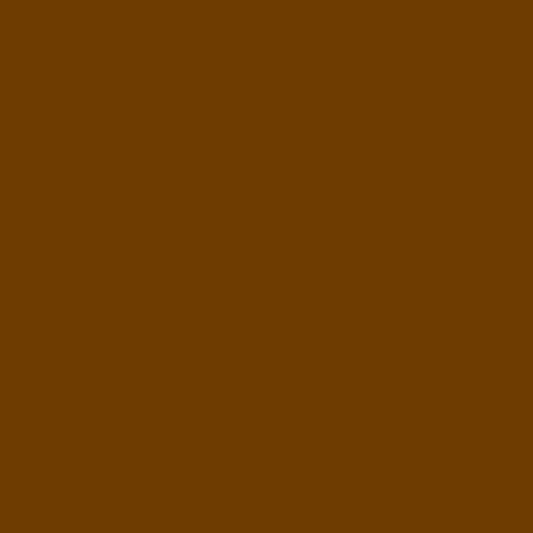 E746 Rosco E Colour - Brown