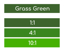 5994 Rosco Supersat Acrylic Paint - Grass Green