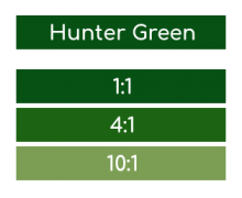 5997 Rosco Supersat Acrylic Paint - Hunter Green