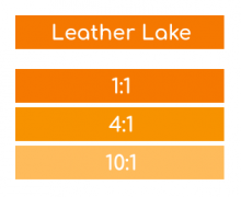 5993 Rosco Supersat Acrylic Paint - Leather Lake