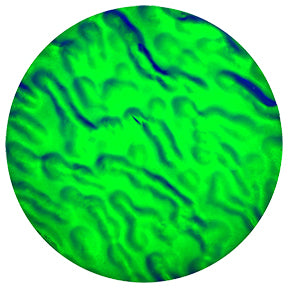 33506 Green Dune - Rosco Effects Glass Gobo