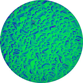 33306 Green Sparkelite - Rosco Effects Glass Gobo